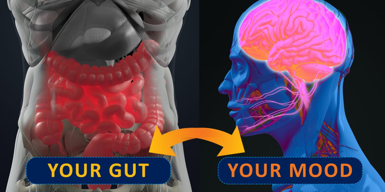 Gut-brain connection or gut brain axis. Concept art showing a connection from the gut, influencing your mood. 3d illustration.