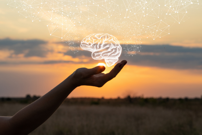 Effects of Yoga on Your Brain Waves and Structural Activation