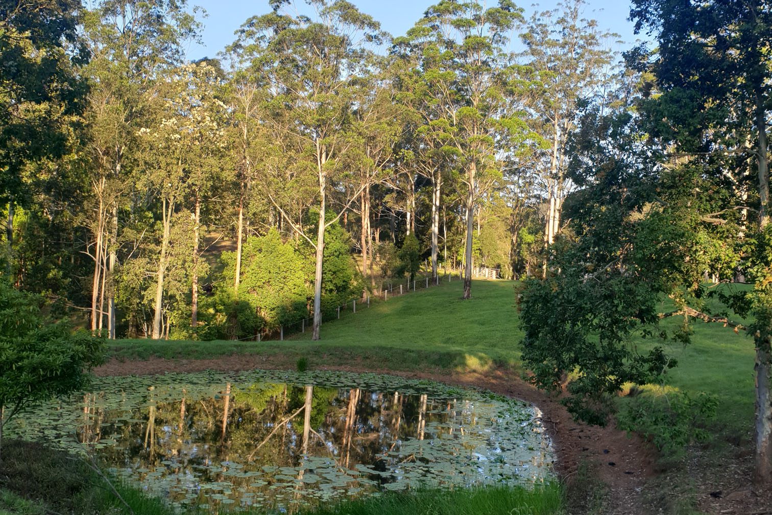 Private Mountain Retreat 8 Activity pond | Wellness Retreat Image Haven Yoga & Meditation