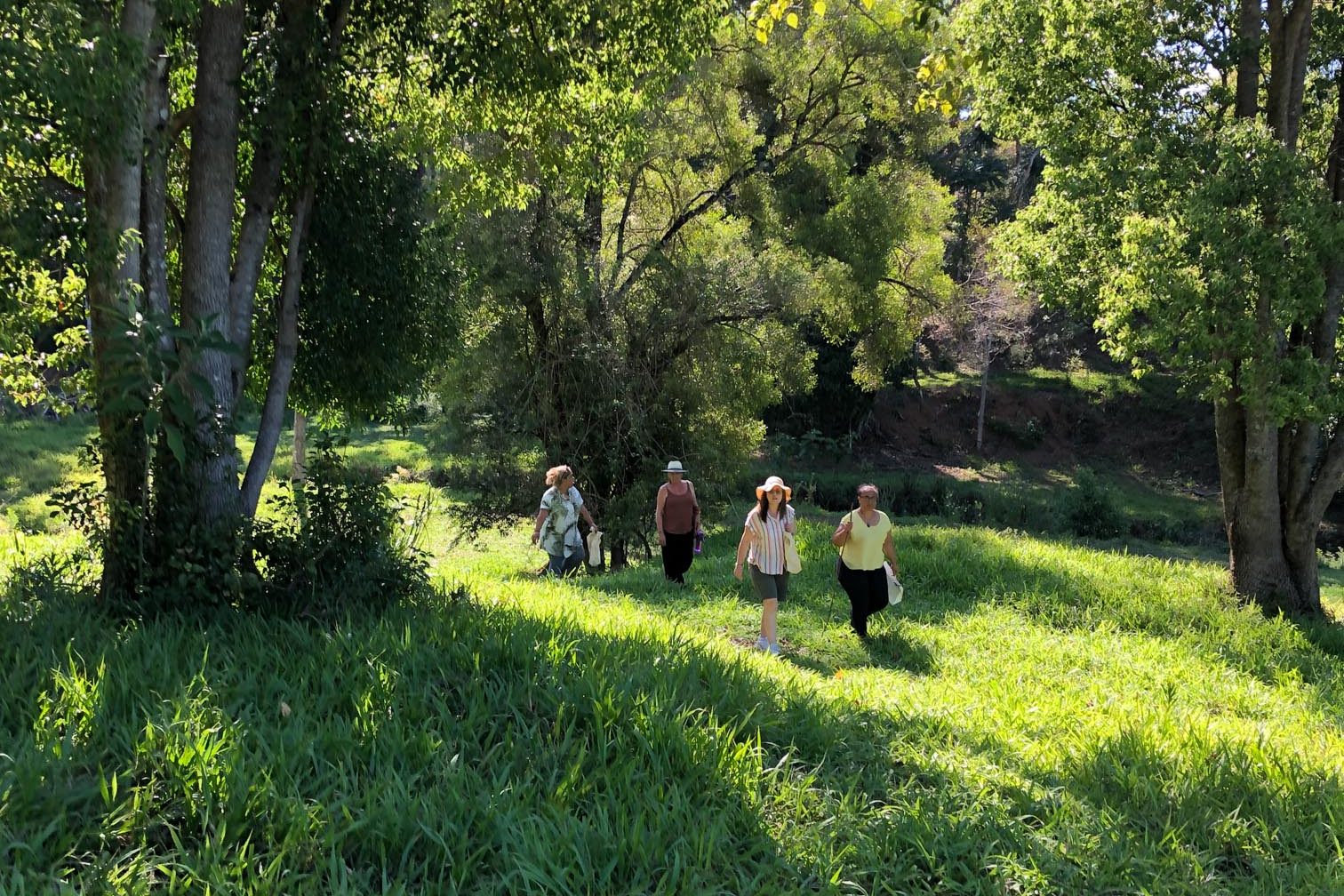 Mt Burrell Private Wellness Retreat 6 Group of woman walking on field | Wellness Retreat Image Haven Yoga & Meditation