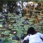 Woman putting paper boat on pond | Wellness Retreat Image Haven Yoga & Meditation