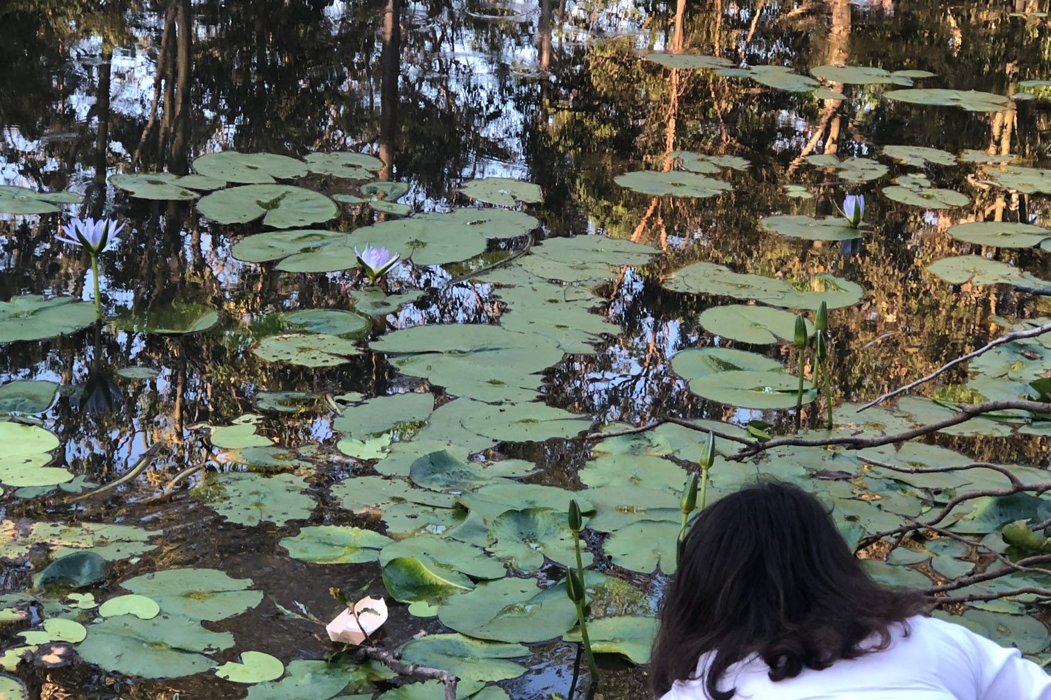 Mt Burrell Private Wellness Retreat 12 Woman putting paper boat on pond | Wellness Retreat Image Haven Yoga & Meditation