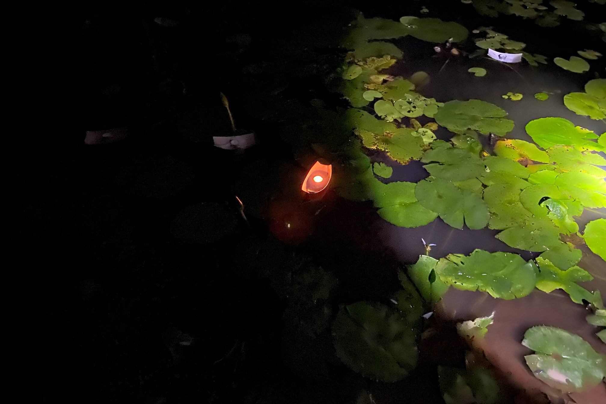 Mt Burrell Private Wellness Retreat 18 Paper boat with candle at night | Wellness Retreat Image Haven Yoga & Meditation