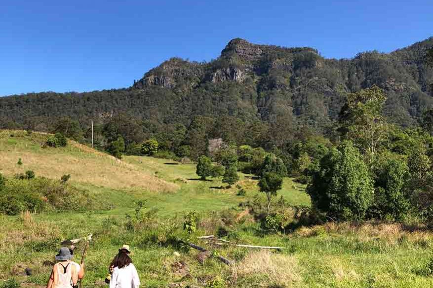 Mt Burrell Private Wellness Retreat 42 People in the Open Field Hiking - Haven Yoga and Meditation MT Burrell Private Wellness Retreat
