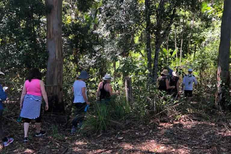 Mt Burrell Private Wellness Retreat 43 People in the Woods Hiking - Haven Yoga and Meditation MT Burrell Private Wellness Retreat