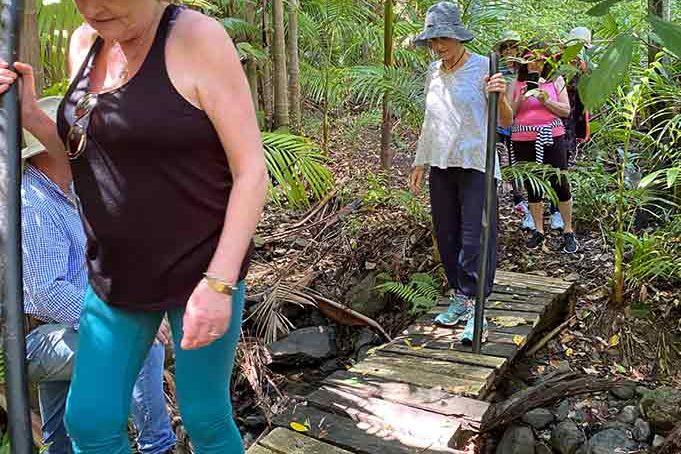 Mt Burrell Private Wellness Retreat 44 People Crossing a Small Wooden Bridge - Haven Yoga and Meditation MT Burrell Private Wellness Retreat