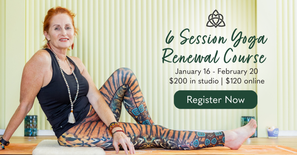 Yoga Classes Brisbane Individual, Group, Corporate Haven Yoga